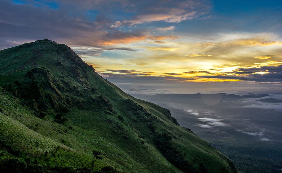 Exploring the Western Ghats: Biodiversity Hotspot